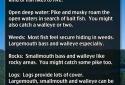 iFishing screenshot 7