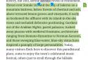 Google Play Книги screenshot 19