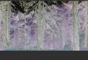 VidTrim - Video Trimmer screenshot 5