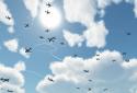 Plane Finder 3D screenshot 1