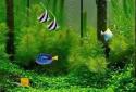 Aquarium Live Wallpaper screenshot 1