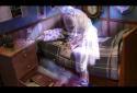 Гиблые земли. Город теней screenshot 2