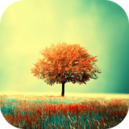 Awesome Land Live Wallpaper