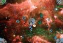 Space Cruiser HD screenshot 6