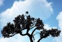 OXON L.W.Nature Free HD screenshot 1