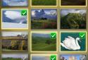 Cool 3D Gallery screenshot 4