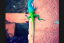 Photo Editor by Aviary screenshot 1