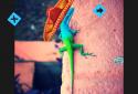 Photo Editor by Aviary screenshot 6
