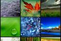 ViewPics Pro screenshot 1