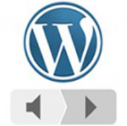 WP Player