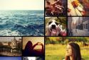 Lomogram screenshot 1