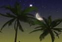 Exotic Nightfall screenshot 3