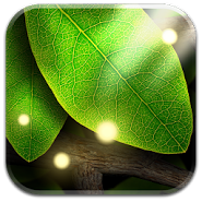 Tap Leaves LWP
