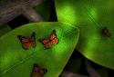 Tap Leaves LWP screenshot 1