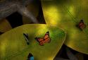 Tap Leaves LWP screenshot 3