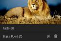 Fhotoroom screenshot 5