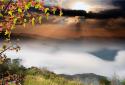BEST NATURE LIVE WALLPAPER PRO screenshot 2