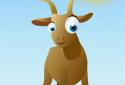 Animal Sound Box screenshot 5