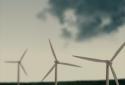 WIND LiveWallpaper screenshot 3