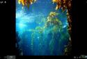 Under Water Scene HD screenshot 3