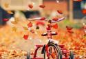 Autumn Pro Live Wallpaper screenshot 7