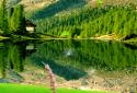 Landscape Live Wallpaper PRO screenshot 5