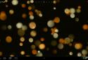 Light Drops Pro Live Wallpaper screenshot 2