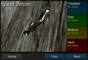 Wingsuit - Proximity Project screenshot 3