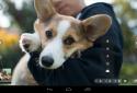 Camera Awesome screenshot 12