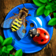Bugs & Buttons