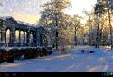 Winter Live Wallpaper HD screenshot 1