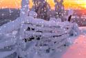 Winter Live Wallpaper HD screenshot 4