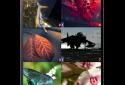 ULtra HD Обои screenshot 2