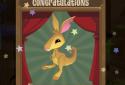 AJ Jump: Animal Jam Kенгуру screenshot 4