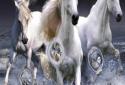 Beautiful Horses Wave effect screenshot 3