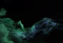 PolyFauna screenshot 4