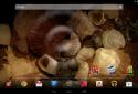 Water Touch Live Wallpaper screenshot 5