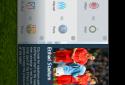 FIFA 14 screenshot 4