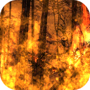 Пламя HD Pro Live Wallpaper