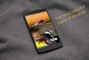 Formula Live Wallpaper / Живые обои Формула screenshot 2