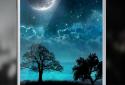 Blue Night Live Wallpaper screenshot 2