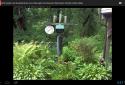 Онлайн камеры видео наблюдения / Live Camera Viewer screenshot 15