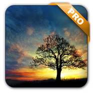 Sunset Hill Live Wallpaper