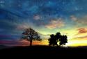 Sunset Hill Live Wallpaper screenshot 8