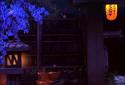 Real Zen Garden 3D: Night LWP screenshot 3