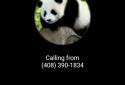 Hangouts Dialer screenshot 5