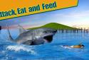 Crazy Shark 3D Sim screenshot 2