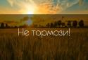 СОВЕТНИК screenshot 2