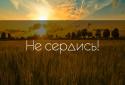 СОВЕТНИК screenshot 3