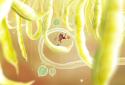 Botanicula screenshot 5